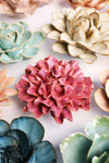 Blush Pink Tundra Carnation