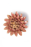 Rose Quartz Pink Strawflower