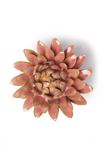 Rose Quartz Pink Strawflower