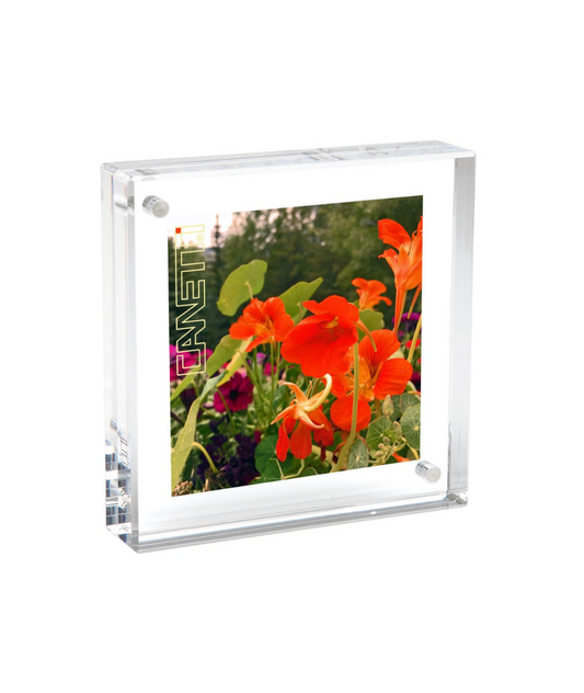 Magnetic Frame