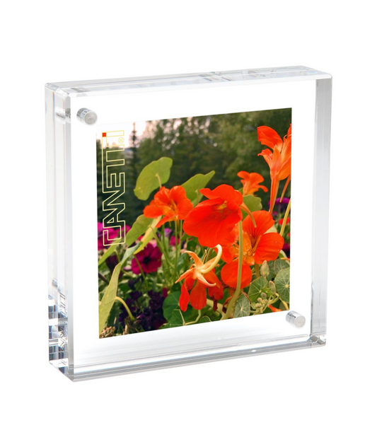 Magnetic Frame