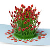 Blooming Poppies Pop Up Card