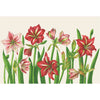 Amaryllis Blooms Placemat Pad
