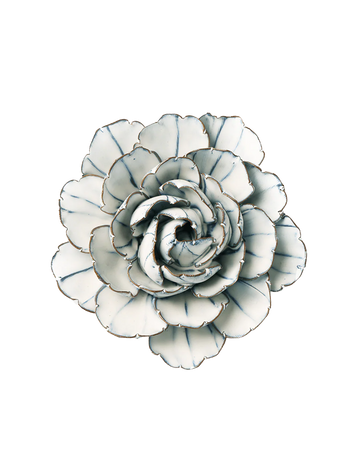Blue White Keiko Peony