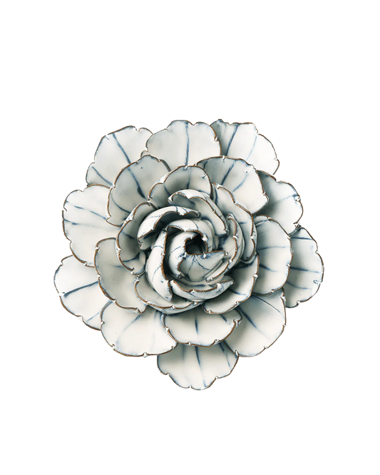Blue White Keiko Peony