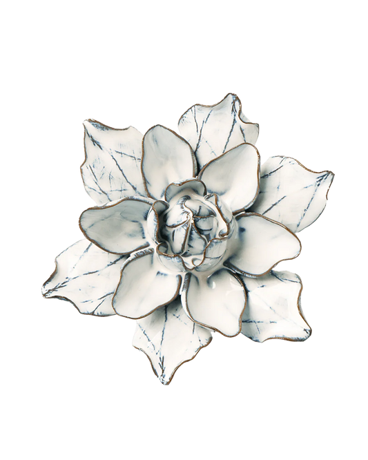 Blue White Columbine