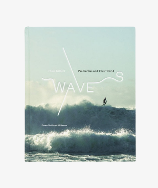 Waves: Pro Surfers and Their World
