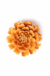 English Garden Orange Fiesta Marigold Ceramic Flower