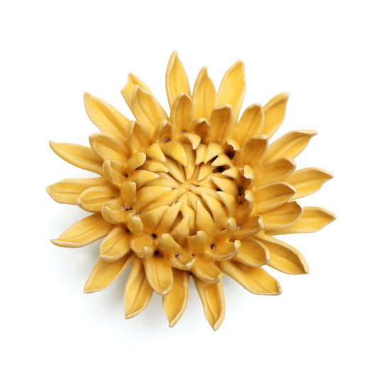 English Garden Mum Yellow Flower