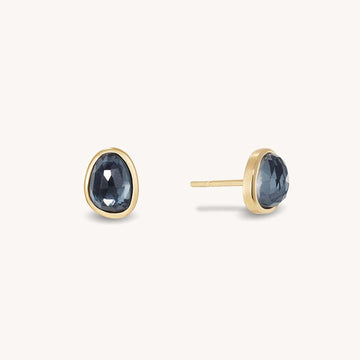 CALA STUDS - Iridescent Hematite - Gold