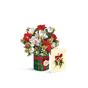 Mini Golden Mistletoe  (ETA 8/15)