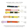 Martingale Collar | Orange + Lilac