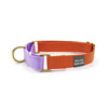 Martingale Collar | Orange + Lilac