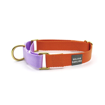 Martingale Collar | Orange + Lilac