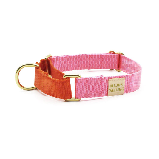 Martingale Collar | Pink + Orange