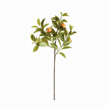 Faux Orange Stem