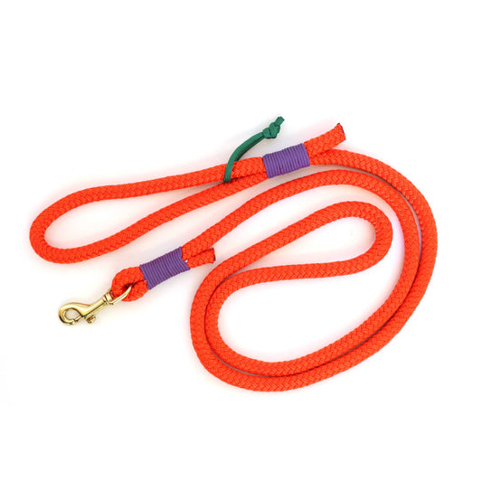 Rope Dog Leash | Hot Orange