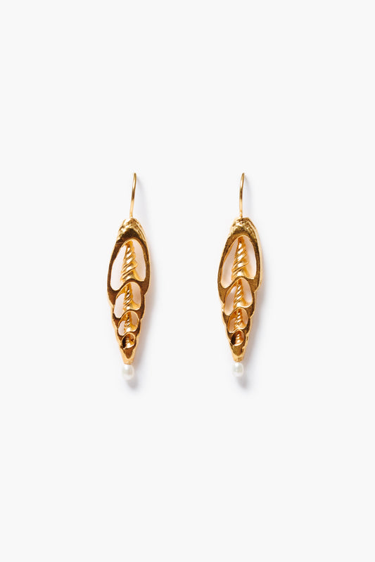 EG-5994 Nautalis Shell Earrings