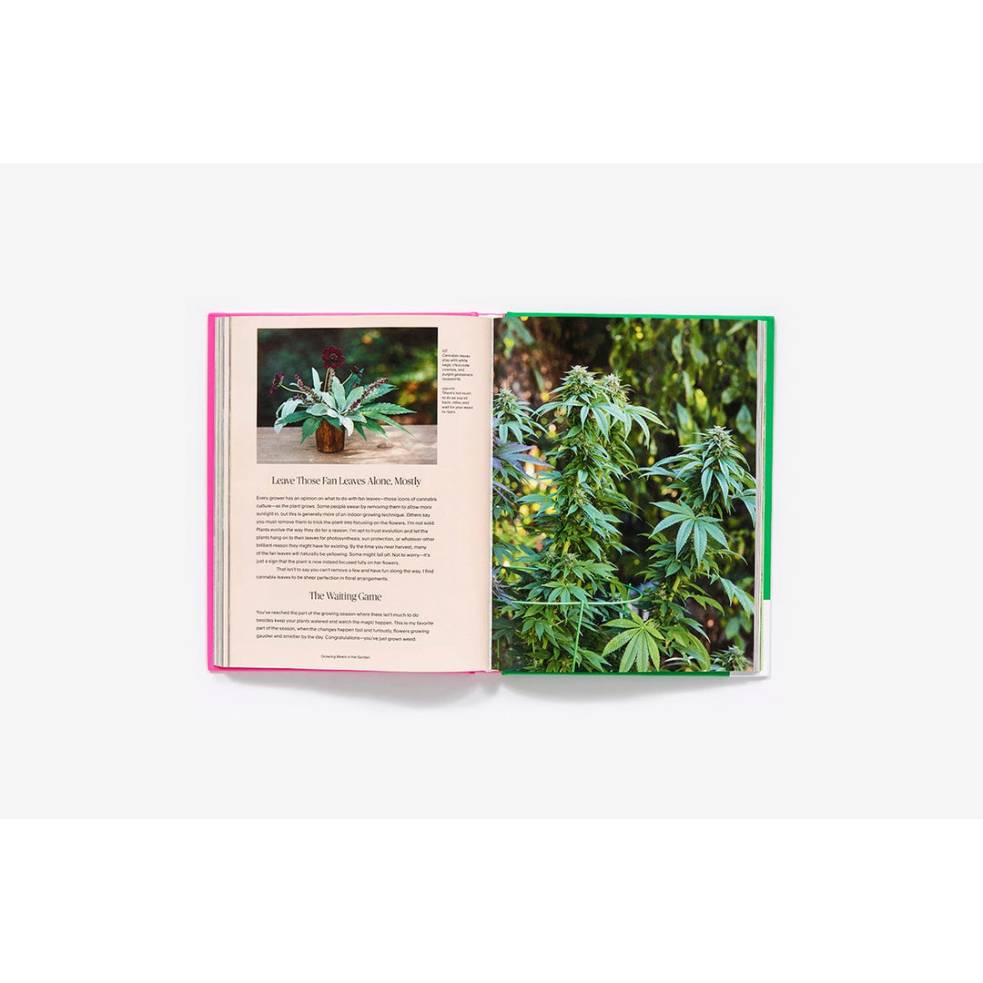 growing weed in the garden marijuana coffee table book