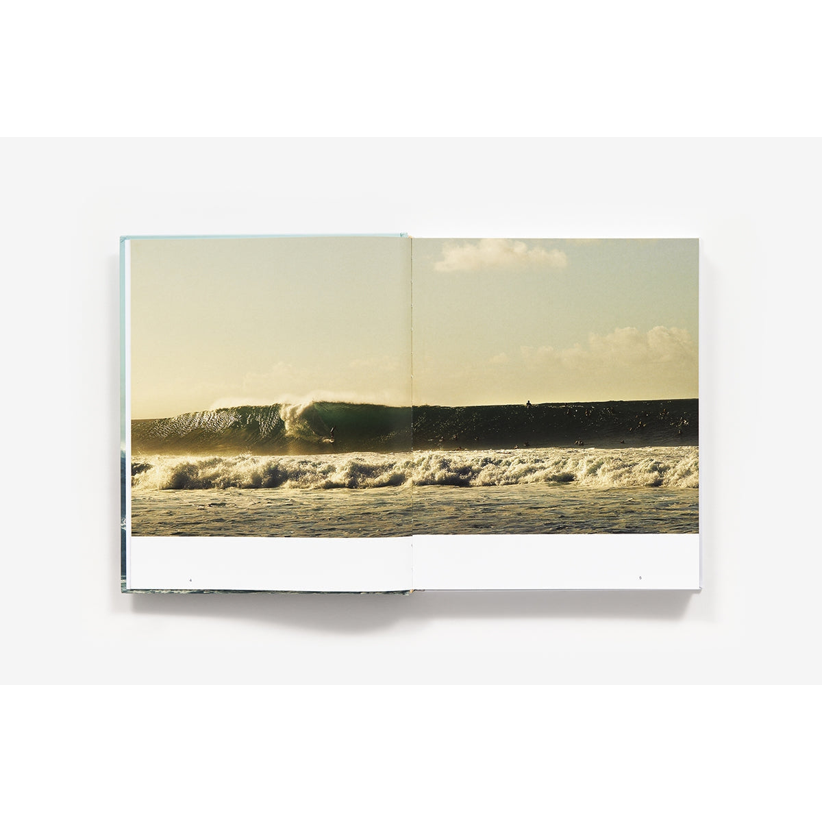 Waves: Pro Surfers and Their World