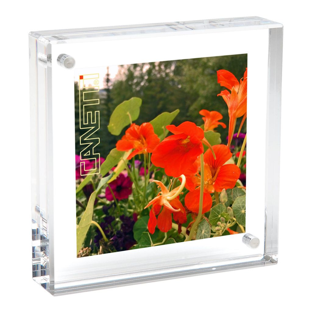 magnetic picture frame, picture frame, photo frame, acrylic frame, canetti frame